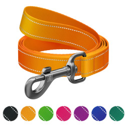 Повідок для собак WAUDOG Nylon Mono світловідбивний, S, Ш 15 мм, Д 300 см, помаранчевий (46434)