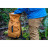 Рюкзак туристичний Exped Cloudburst 25 black (018.0190)