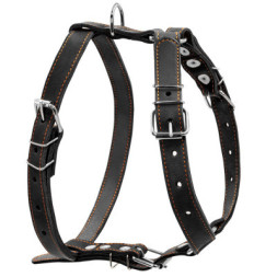 Шлея для собак Collar одинарна для середніх порід Ш 25 мм А:49-68 см В:68-80 см чорна (06381)