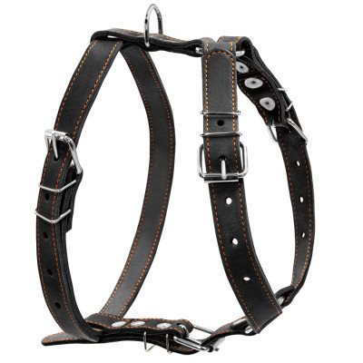 Шлея для собак Collar одинарна для середніх порід Ш 25 мм А:49-68 см В:68-80 см чорна (06381)