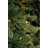 Штучна ялинка Triumph Tree Sherwood deLuxe зелена, LED 120ламп., 1,55 м (8712799343962)