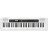 Синтезатор Casio CT-S200WE (222029)