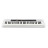 Синтезатор Casio CT-S200WE (222029)