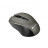 Мишка Canyon MW-1 Wireless Gray (CNE-CMSW1G)