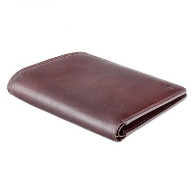 Гаманець Visconti TSC49 Matteo з RFID Brown (TSC49 BRN)