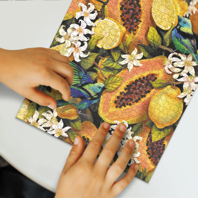 Пазл DoDo Easy-XL Ботаніка. Тропічні фрукти (300616)