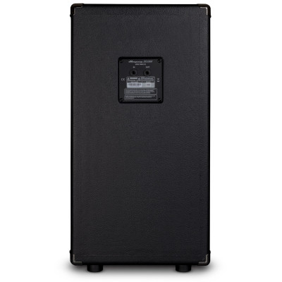 Гітарний кабінет Ampeg SVT-210AV