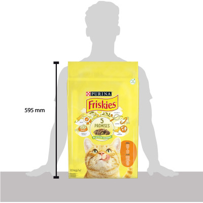 Сухий корм для кішок Purina Friskies з куркою та овочами 10 кг (5997204505101)
