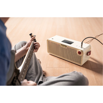 Комбопідсилювач Hotone Audio Pulze Luna (236670)