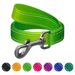 Повідок для собак WAUDOG Nylon Mono світловідбивний, S, Ш 15 мм, Д 300 см, салатовий (46435)