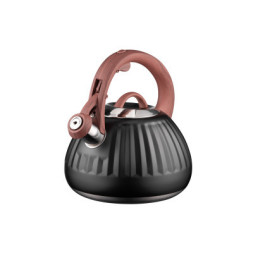 Чайник Ardesto Gemini 2.5 л Чорний (AR1958KS)