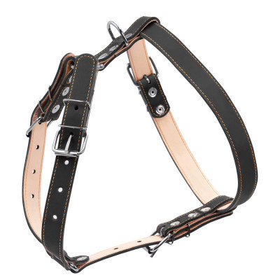 Шлея для собак Collar подвійна для середніх порід Ш 25 мм А:49-68 см В:68-80 см чорна (06421)