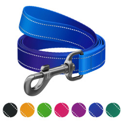 Повідок для собак WAUDOG Nylon Mono світловідбивний, S, Ш 15 мм, Д 300 см, синій (464312)