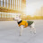 Попона для тварин Pet Fashion ROY 6XL хакі-гірчиця (4823082432806)