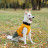 Попона для тварин Pet Fashion ROY 6XL хакі-гірчиця (4823082432806)