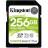 Карта пам&#039;яті Kingston 256GB SDXC class 10 UHS-I U3 Canvas Select Plus (SDS2/256GB)