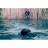 Ехолот Deeper Smart Sonar PRO+ 2, FLDP-39 (ITGAM1080)