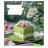 Зошит 1 вересня Bright Food А5 24 аркушів лінія (768131)