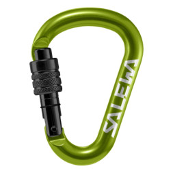 Карабін туристичний Salewa HMS Screw G2 1525 5810 - Med - зелений (013.003.1318)