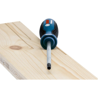 Набір викруток Bosch Torx 6шт, T10х75, T15х75, T20x100, T25x100, T30x125, T40x125 мм (1.600.A01.V09)