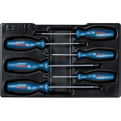 Набір викруток Bosch Torx 6шт, T10х75, T15х75, T20x100, T25x100, T30x125, T40x125 мм (1.600.A01.V09)