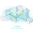 Точка доступу Wi-Fi TP-Link DECO-X50-1-PACK