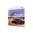 Струни для гітари D&#039;Addario Phosphor Bronze Custom Light (11-52) (EJ26)