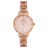 Наручний годинник Slazenger SL.09.6227.3.02