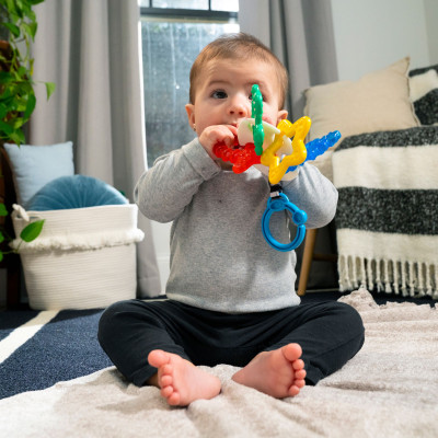 Прорізувач Baby Einstein Sea of Sensory (13158)