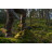 Черевики Harkila Forest Hunter GTX Mid Willow green 44 (30011723617)