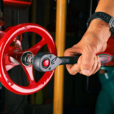 Тріскачка Ronix 1/2&quot;, 250 мм (RH-2634)