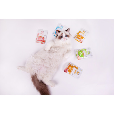 Вологий корм для кішок Brit Care Soup with Tuna з тунцем 75 г (8595602569205)