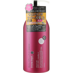 Шампунь Kumano Salon Link Amino Damage 1000 мл (4513574036635)