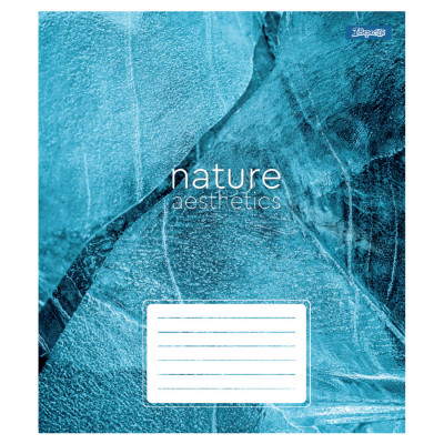 Зошит 1 вересня Nature aesthetics А5 24 аркушів лінія (768101)