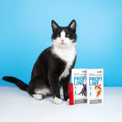 Краплі для тварин ProVET Profiline інсектоакарицид для котів 4-8 кг 4/1 мл (4823082431106)