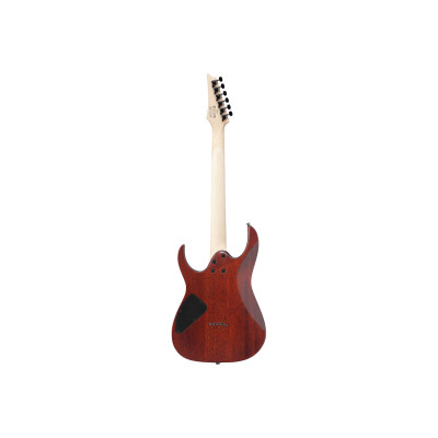 Електрогітара Ibanez RG421S SEM (234944)