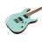 Електрогітара Ibanez RG421S SEM (234944)