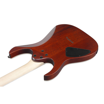 Електрогітара Ibanez RG421S SEM (234944)