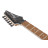 Електрогітара Ibanez RG421S SEM (234944)