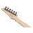 Електрогітара Ibanez RG421S SEM (234944)