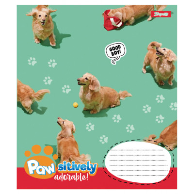 Зошит 1 вересня Pawsitively А5 24 аркушів лінія (768241)
