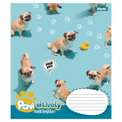 Зошит 1 вересня Pawsitively А5 24 аркушів лінія (768241)