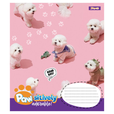 Зошит 1 вересня Pawsitively А5 24 аркушів лінія (768241)