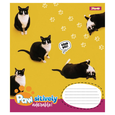 Зошит 1 вересня Pawsitively А5 24 аркушів лінія (768241)