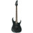 Електрогітара Ibanez RG421EX BKF (220670)