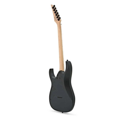 Електрогітара Ibanez RG421EX BKF (220670)