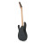Електрогітара Ibanez RG421EX BKF (220670)