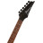 Електрогітара Ibanez RG421EX BKF (220670)