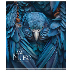 Зошит Школярик THE MUSE 96 аркушів клітинка (096-3444K)