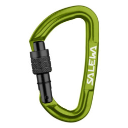 Карабін туристичний Salewa Hot G3 Screw 1724 5810 - UNI - зелений (013.003.1323)